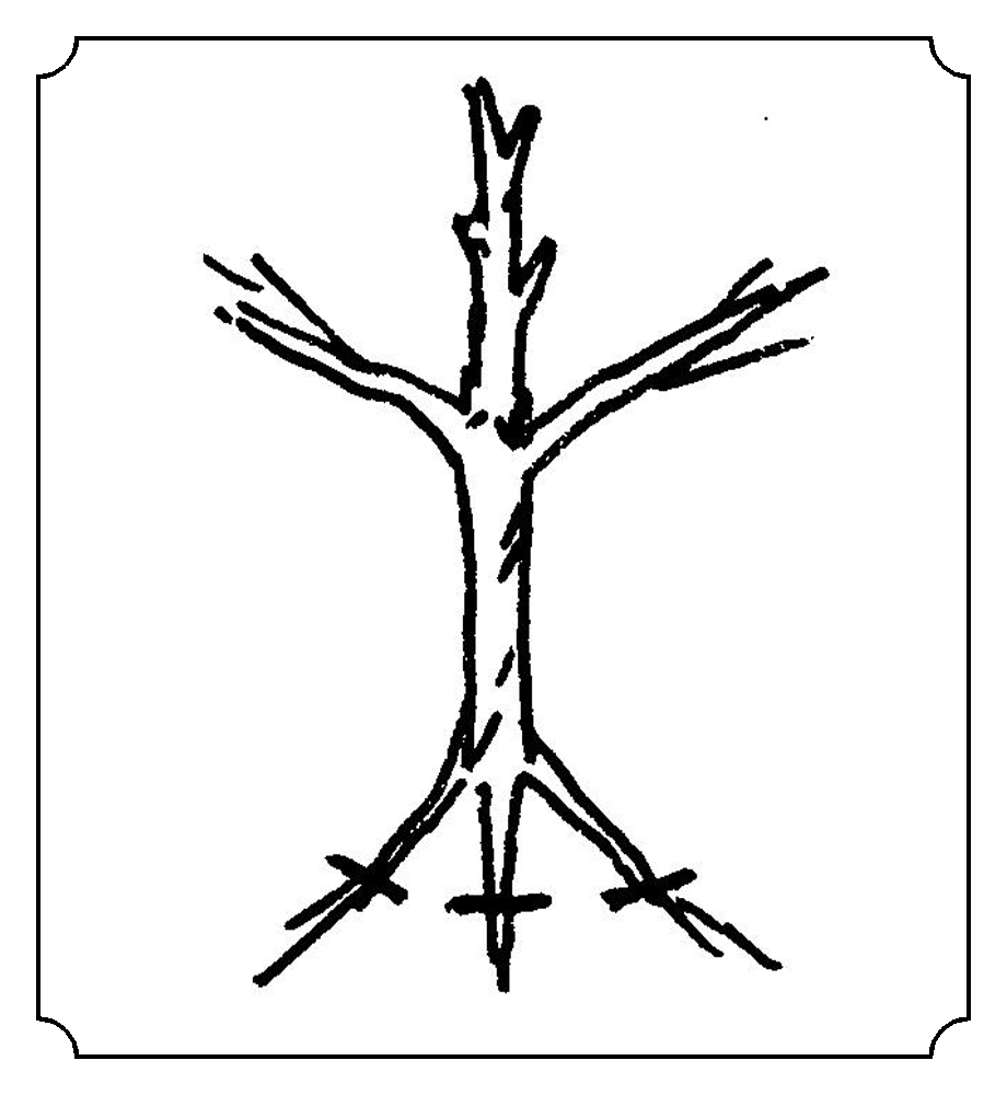 "本"是在象形字"木"(树)的下部加标记.
